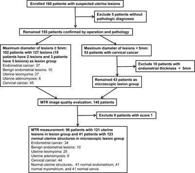 Preliminary Application of Magnetization Transfer Imaging in the Study of Normal Uterus and Uterine Lesions